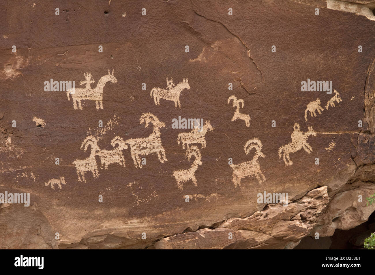 Ute Rock Art indianische Petroglyphen in Sandsteinfelsen, umgeben mit stilisierten Reiter Bighorn Schafe zwischen geschnitzt Stockfoto