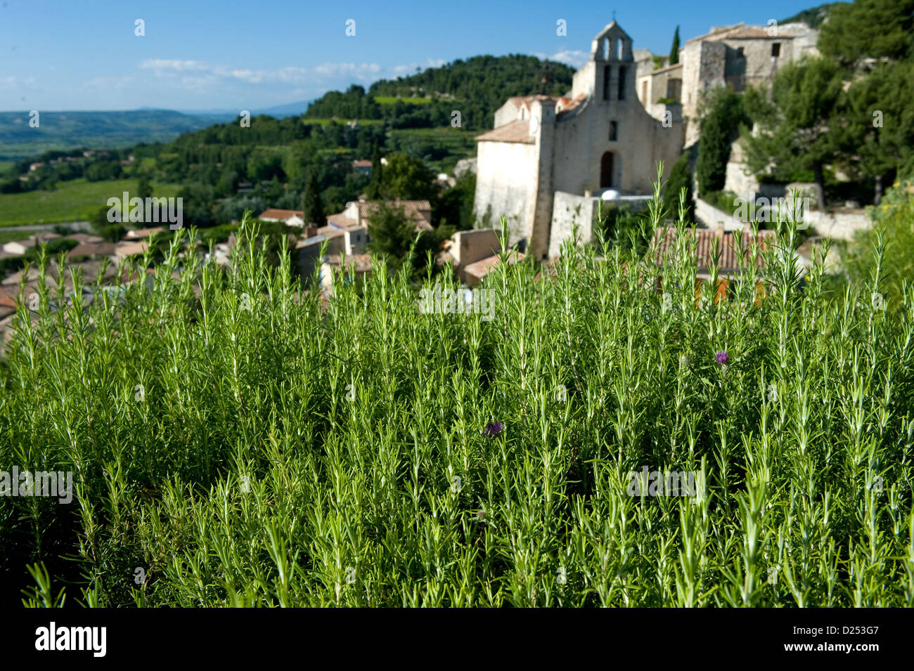 Gigondas, Frankreich, mit Blick auf den provenzalischen Stadt Gigondas Stockfoto