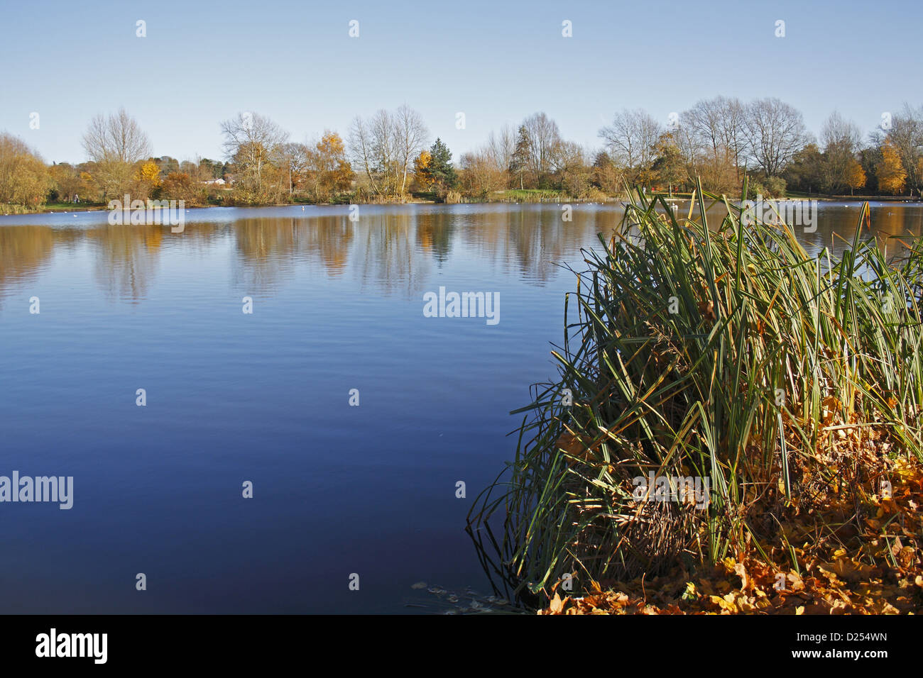 Ansicht des gefluteten ehemaligen Kies Grube Lebensraum, Needham See, Needham See lokale Nature Reserve, Needham, Suffolk, England, November Stockfoto