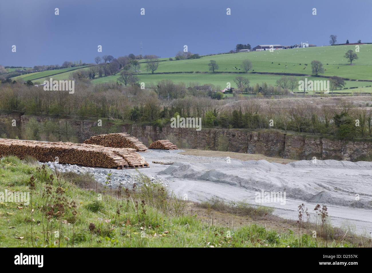 Kalksteinbruch und Stapel von gefälltem Holz, Lea Steinbruch südlich, Wenlock Edge, Shropshire, England, April Stockfoto