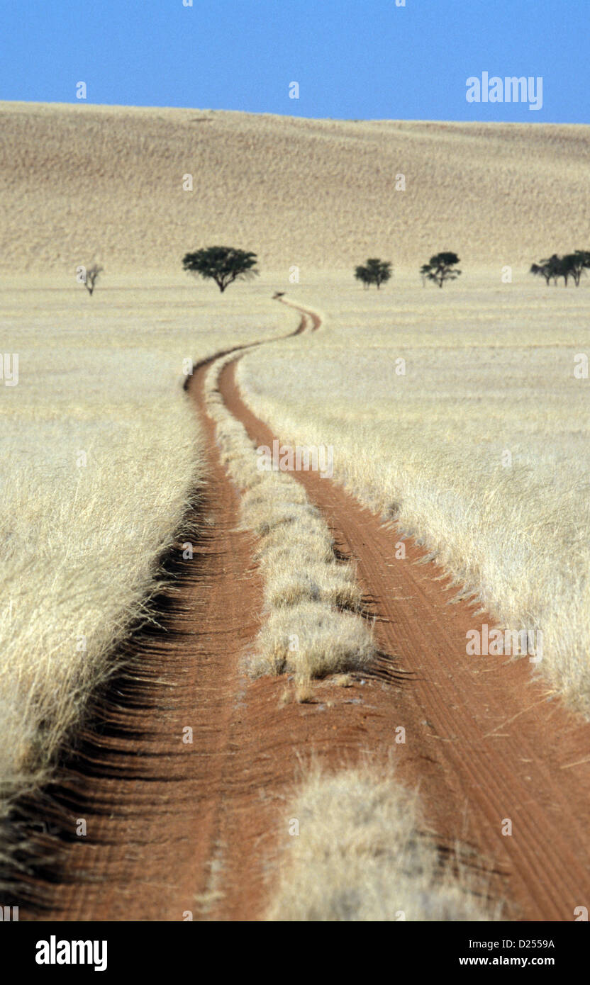 Verfolgt die Spuren von 4 x 4 Fahrzeuge durchschneiden Buschmann Rasen in der Namib-Wüste, Namibia Stockfoto