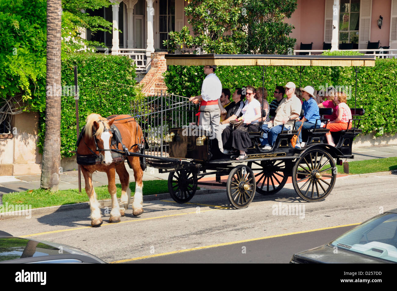 Gezeichnete touristische Pferdewagen, Charleston Stockfoto