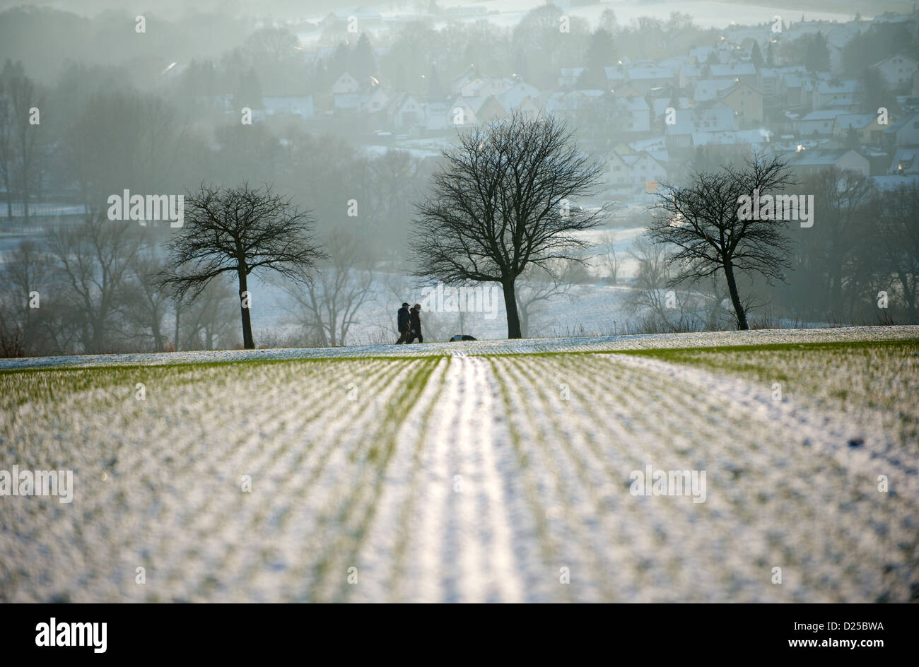 Eine dünne Schicht Schnee deckt ein Feld in der Nähe von Vollmarshausener, Deutschland, 14. Januar 2013. Foto: UWE ZUCCHI Stockfoto