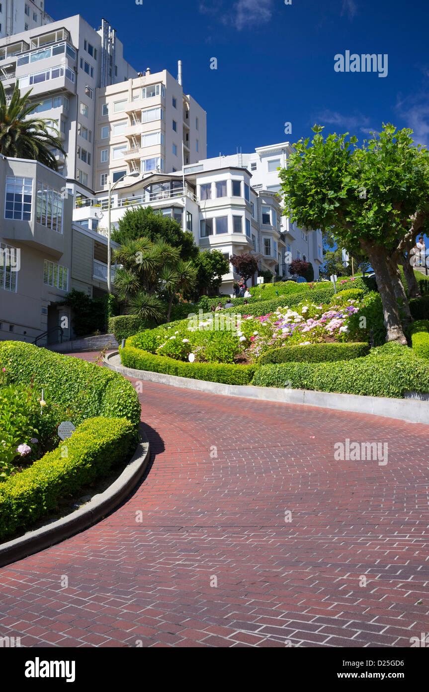 Lombard Street in San Francisco, Kalifornien Stockfoto