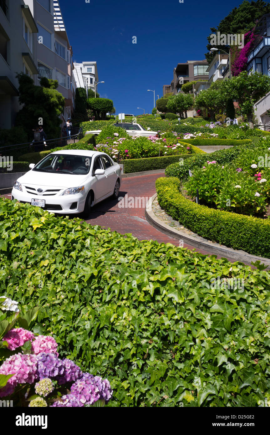 Lombard Street in San Francisco, Kalifornien Stockfoto