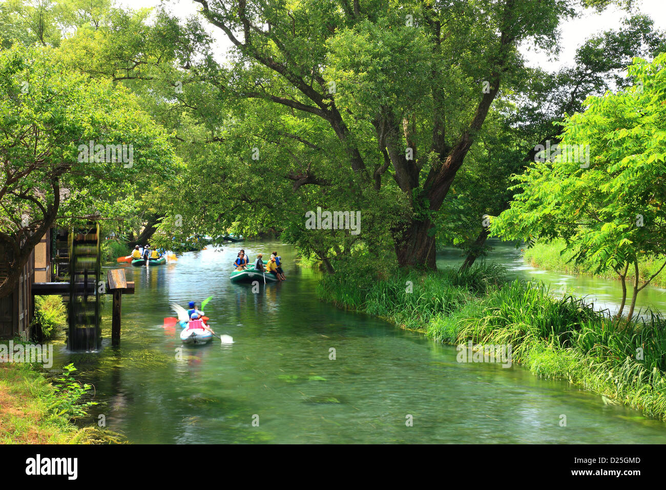 Boote im Daio Wasabi Garden, Präfektur Nagano Stockfoto