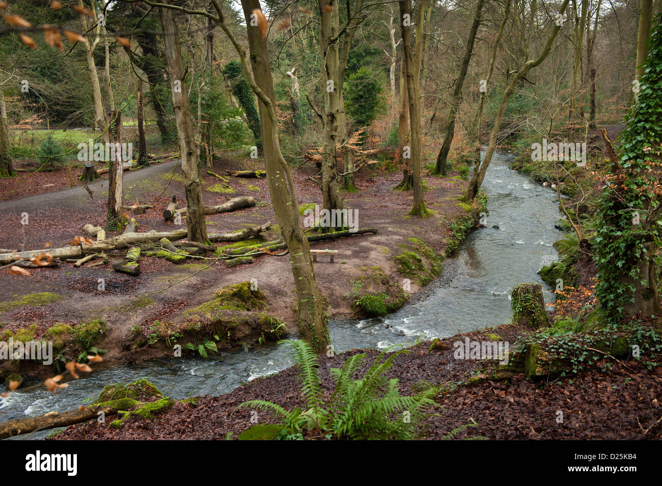Crawfordsburn Country Park County Down Northern Irland Stockfoto