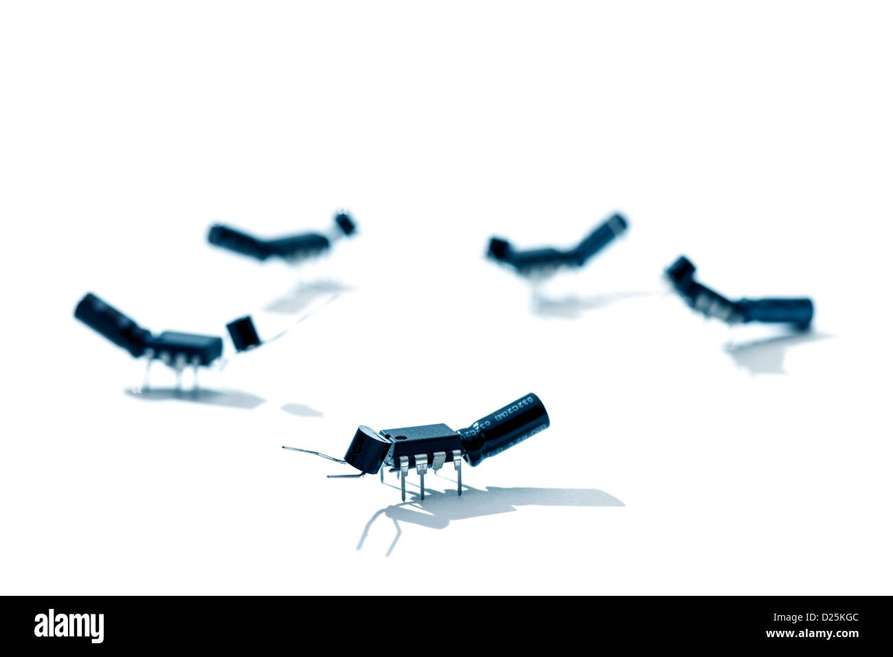 Ameisen / bugs aus Mikrochips und andere elektronische Bauteile Stockfoto