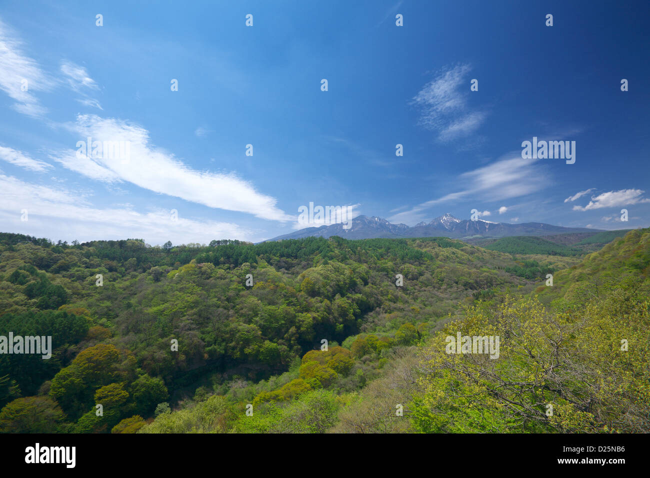 Yatsugatake Berge, Präfektur Yamanashi Stockfoto