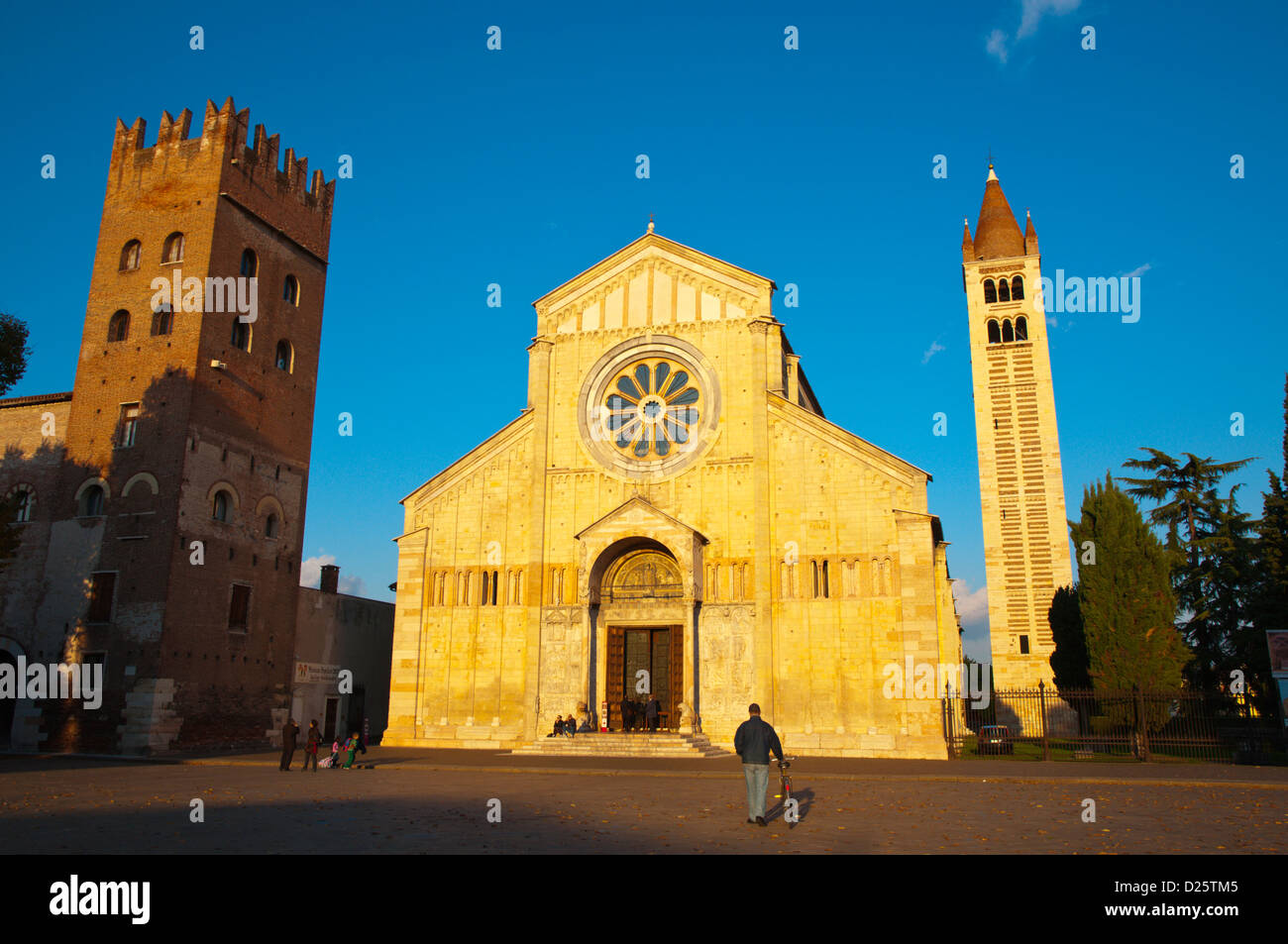 Basilica di San Zeno Maggiore Kirche Verona Stadt der Region Venetien Italien Europa Stockfoto