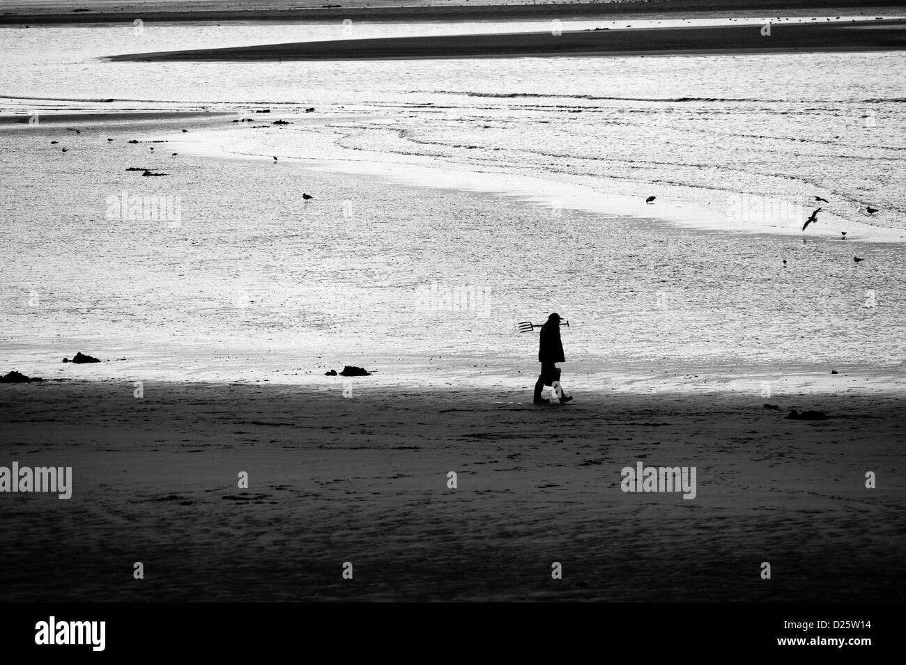 A eine Spaziergänge über den Sand bei Ebbe im Süden Gare in Teesside als er aussieht als Köder aus dem Sand zu graben, bevor er fishin geht Stockfoto