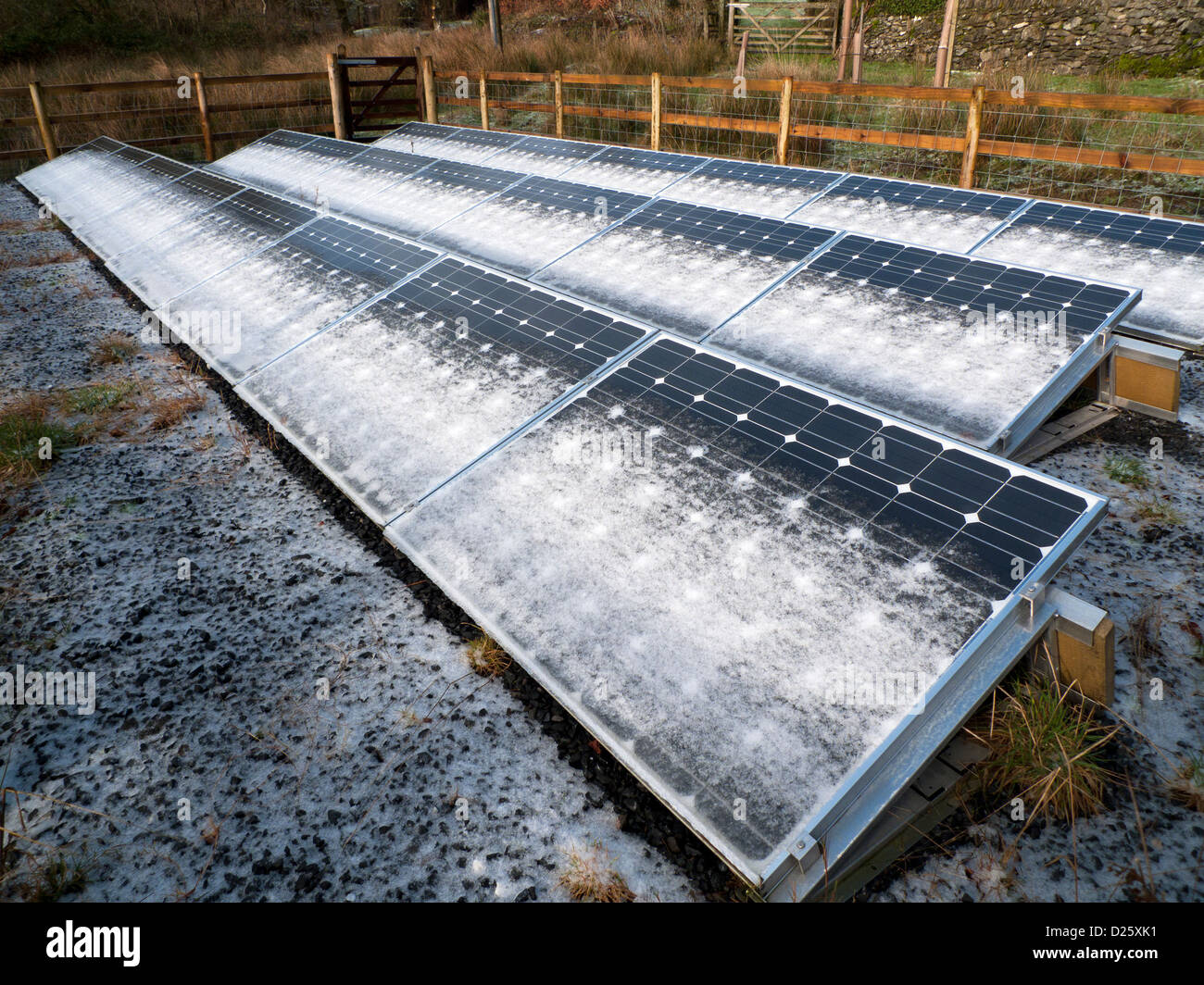 Schneefrost auf freistehenden, bodenmontierten Solarpaneelen auf Kleinbauern im Winter auf Kleinbauern im ländlichen West Wales Großbritannien KATHY DEWITT Stockfoto