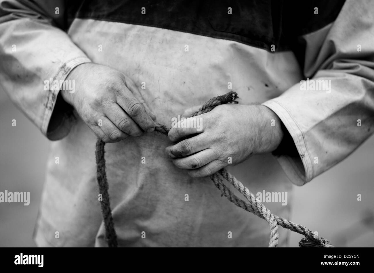 Ein Fischer verbindet Hummer Töpfe vor dem ausgehen zum Meer bei Saltburn in Cleveland. Stockfoto