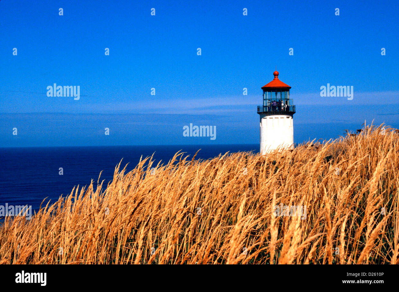 North Head Lighthouse Fort Canby Stockfoto