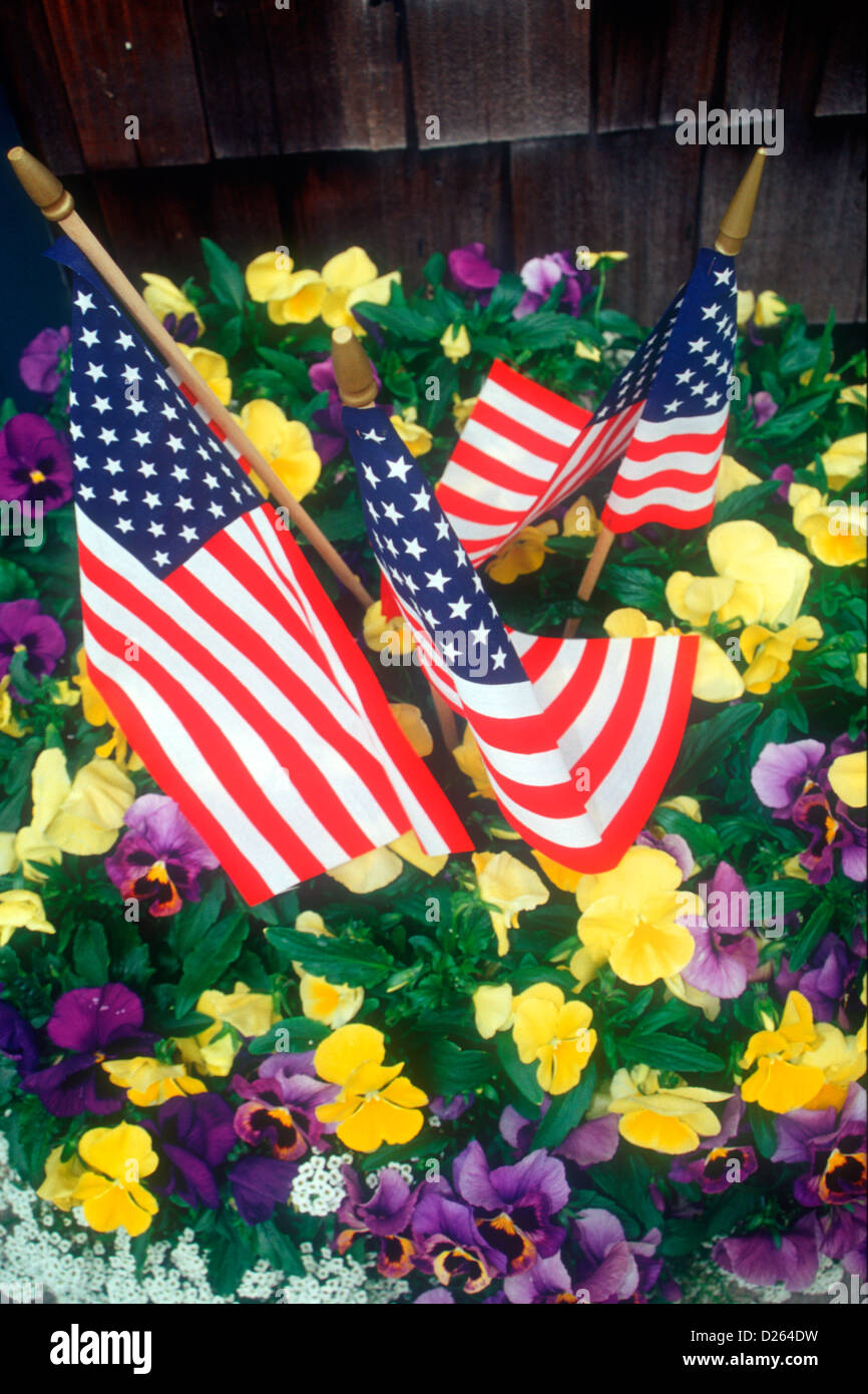 US-Flaggen im Blumenbeet Stockfoto