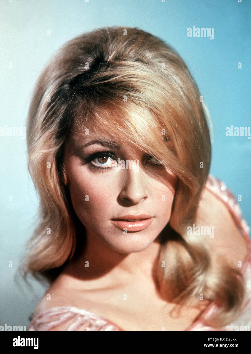 SHARON TATE (1943 1969) U.S. Schauspielerin ca. 1965 Stockfotografie