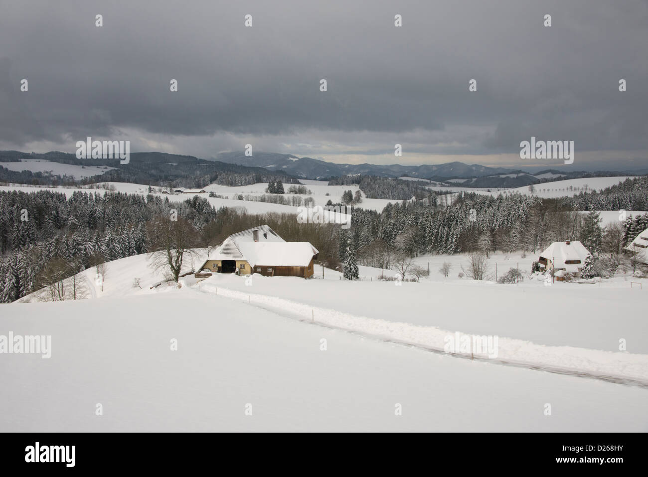 Deutschland, Schwarzwald, Hollsteig. "Höllen Tal" Schwarzwald-Landschaft im Winter. Stockfoto