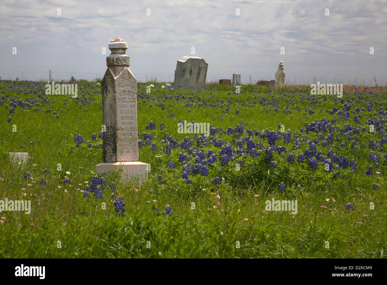 Altes Grab unter Texas bluebonnets Stockfoto