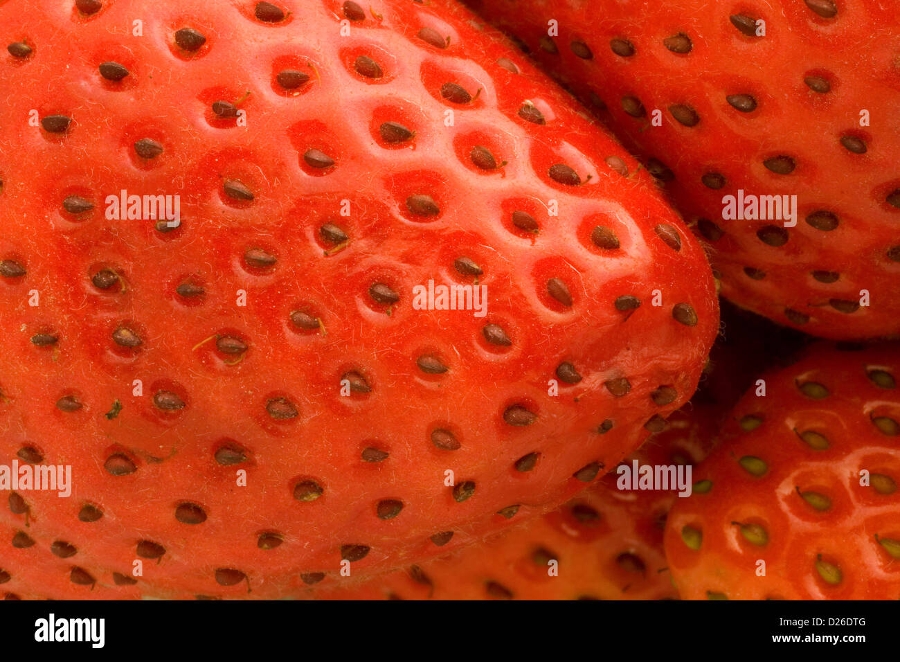 Erdbeeren Stockfoto Erdbeeren Stockfoto