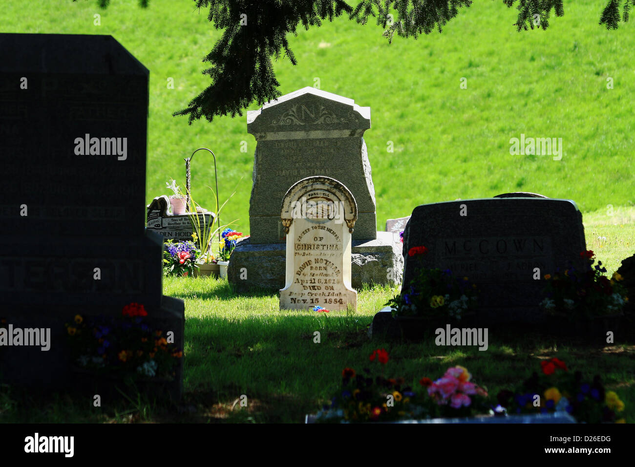 Grab des frühen schottischen Immigranten Stockfoto