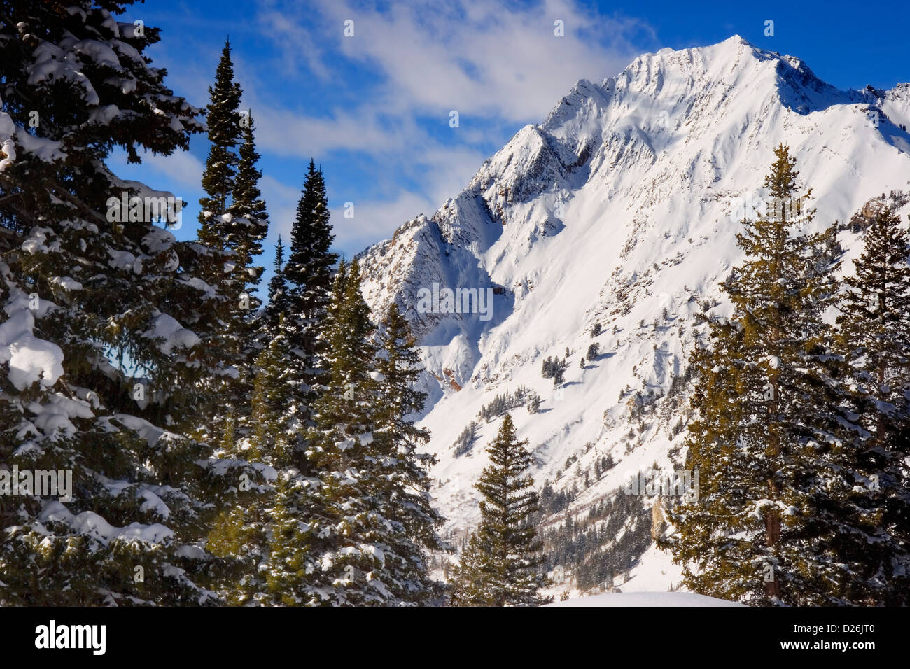 Superior-Peak Wasatch Mountains UT Stockfoto