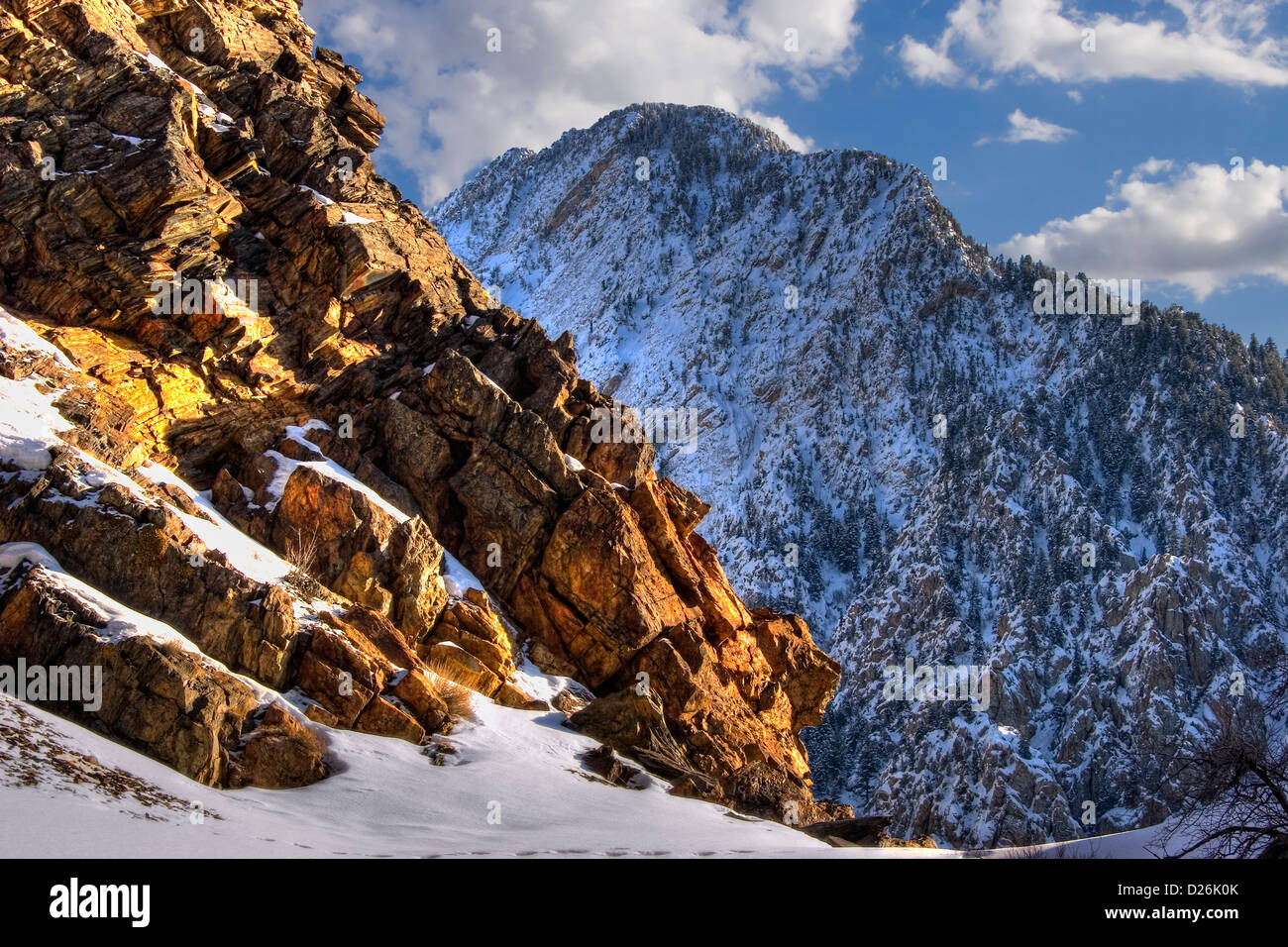 Storm Mountain Wasatchkette Utah Stockfoto