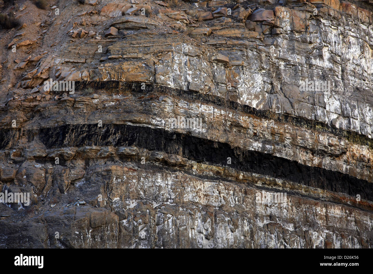 Exponierten Kohlenflöz in Felswand Stockfoto