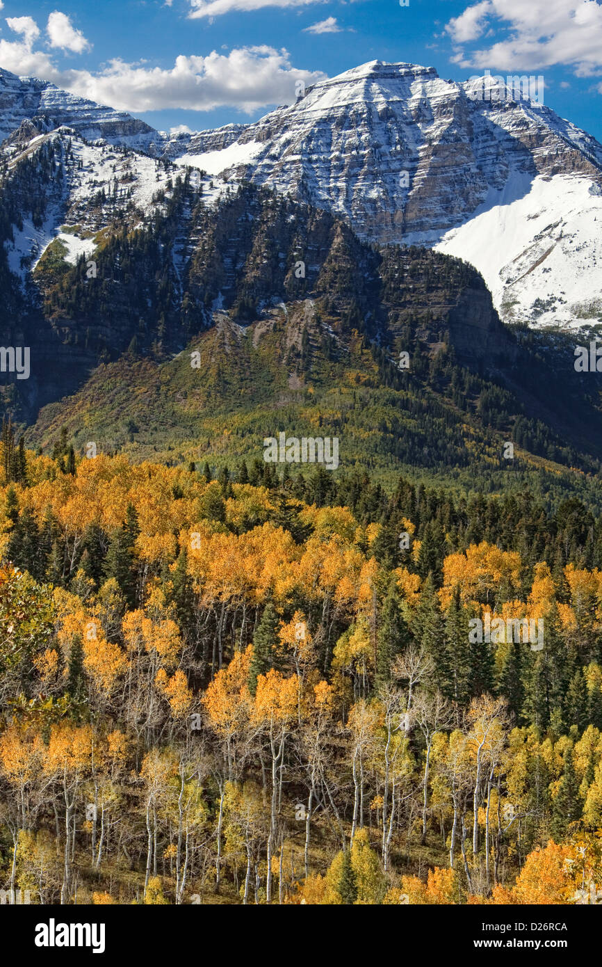 Wasatch Mountains Herbst Stockfoto