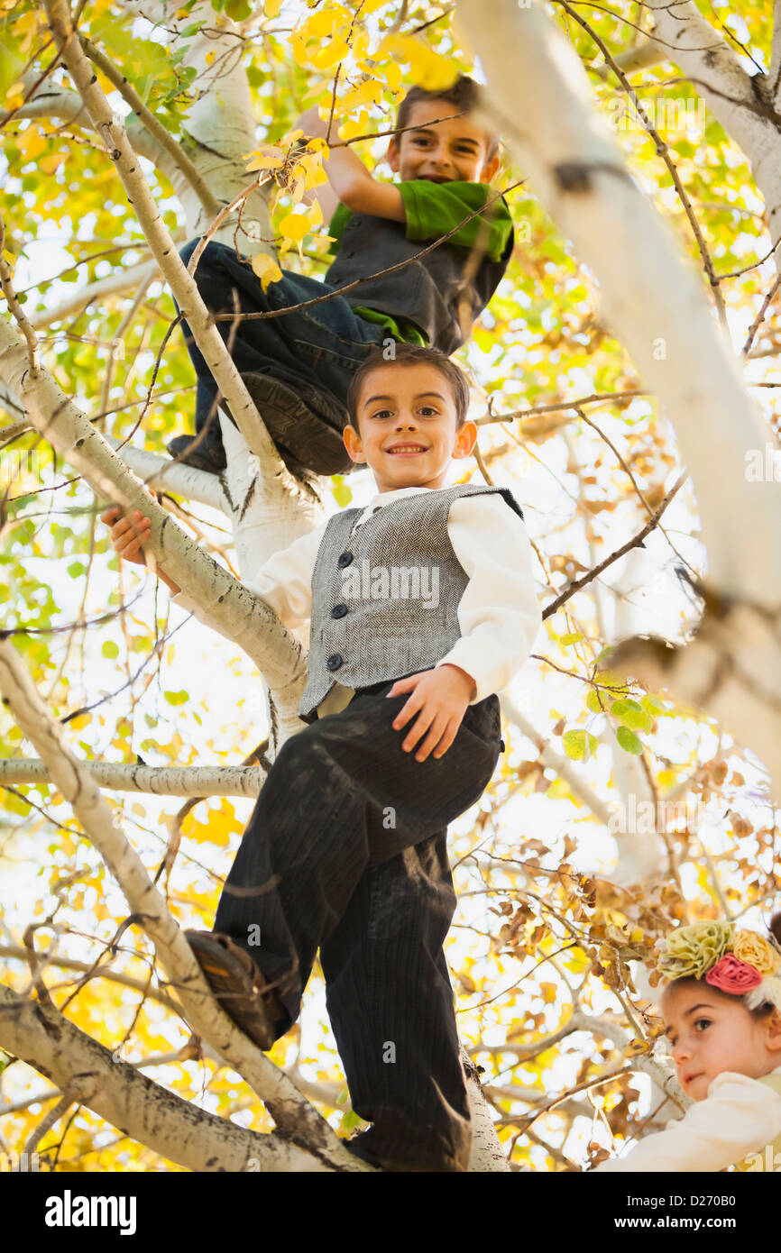USA, Utah, Bountiful, Kinder (4-5,6-7,8-9) spielen am Herbst Baum Stockfoto