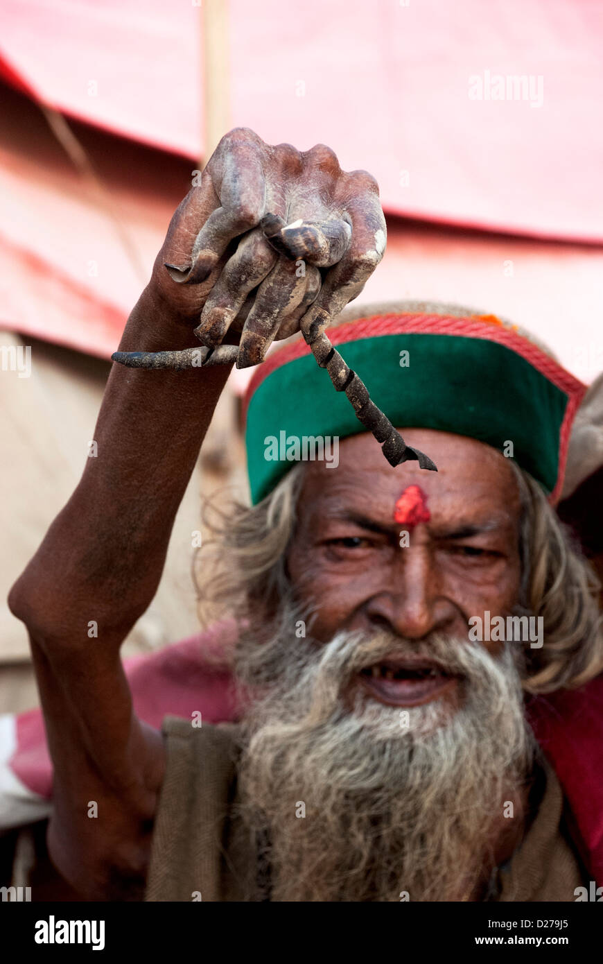 Naga Sadhus auf Mahakumbh, Allahabad - 2013 Stockfoto