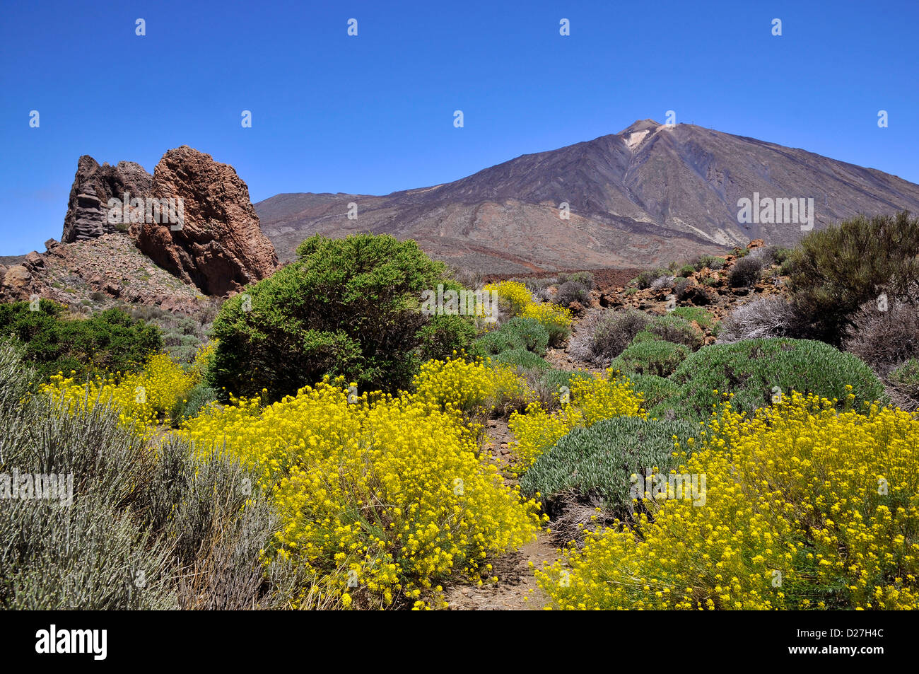 Mount Teide oder im spanischen Pico del Teide (3718m), ist ein Vulkan auf Teneriffa in die spanischen Kanarischen Inseln. Stockfoto