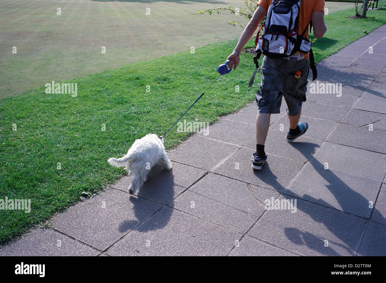 Dog Walker, weiße Hund an der Leine, Stockfoto