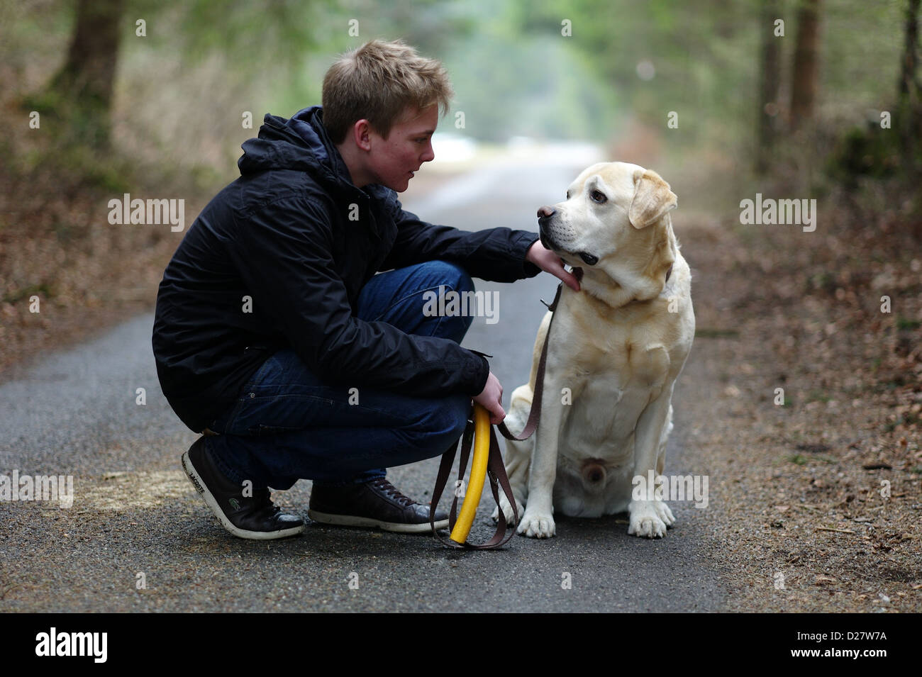 Kleiner Junge mit seinem Labrador im Wald Stockfoto