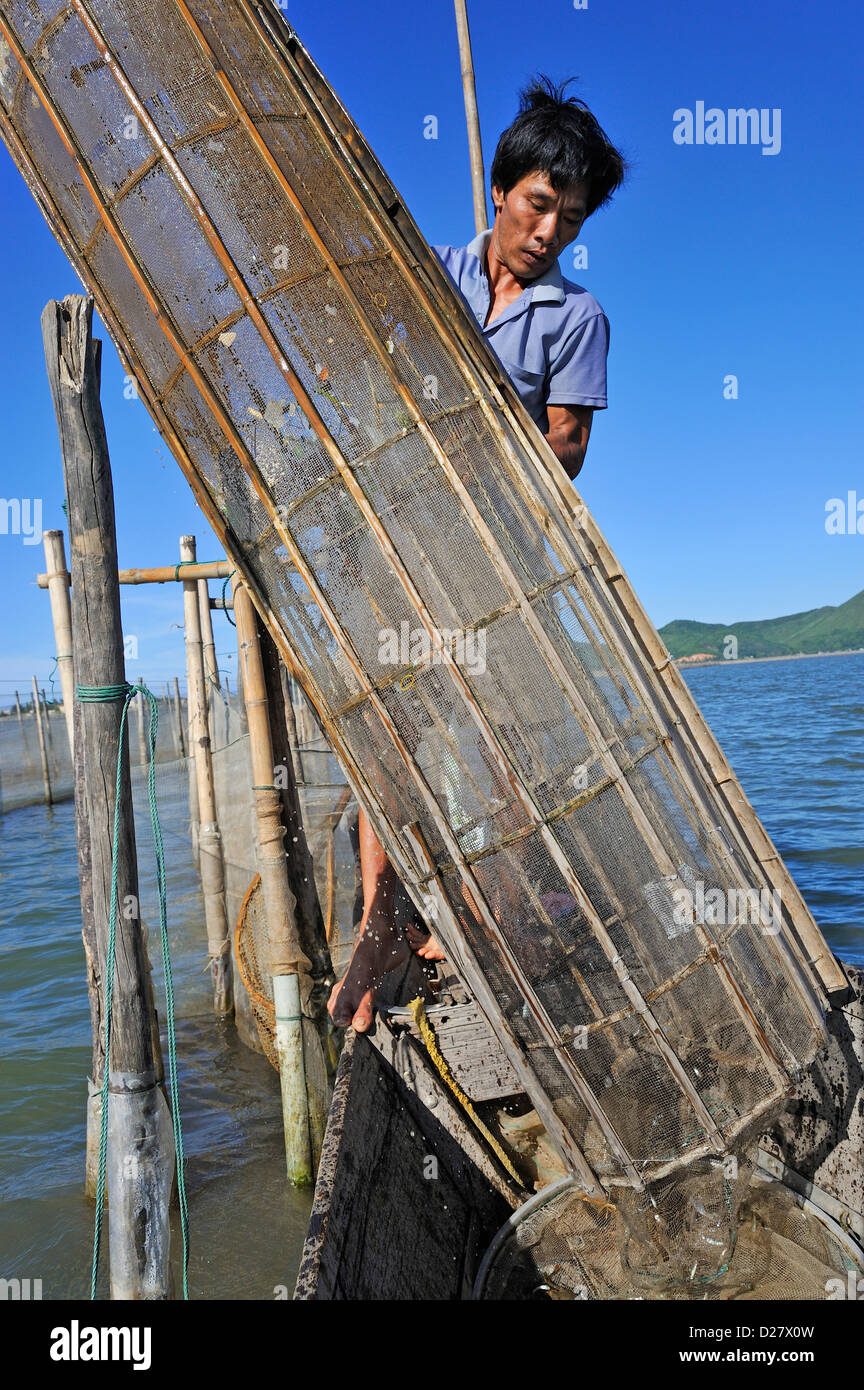 Fischer mit Fischen Falle, Phu Loc Laguna, Vietnam Stockfoto
