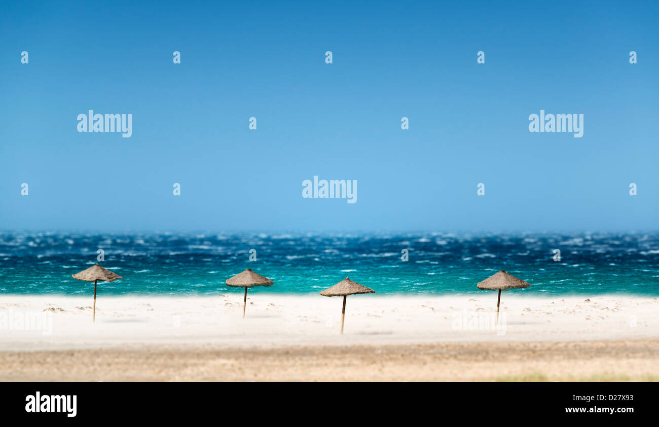 Windiger Tag am Strand. Tarifa, Costa De La Luz, Cádiz, Andalusien, Spanien, Europa. Stockfoto
