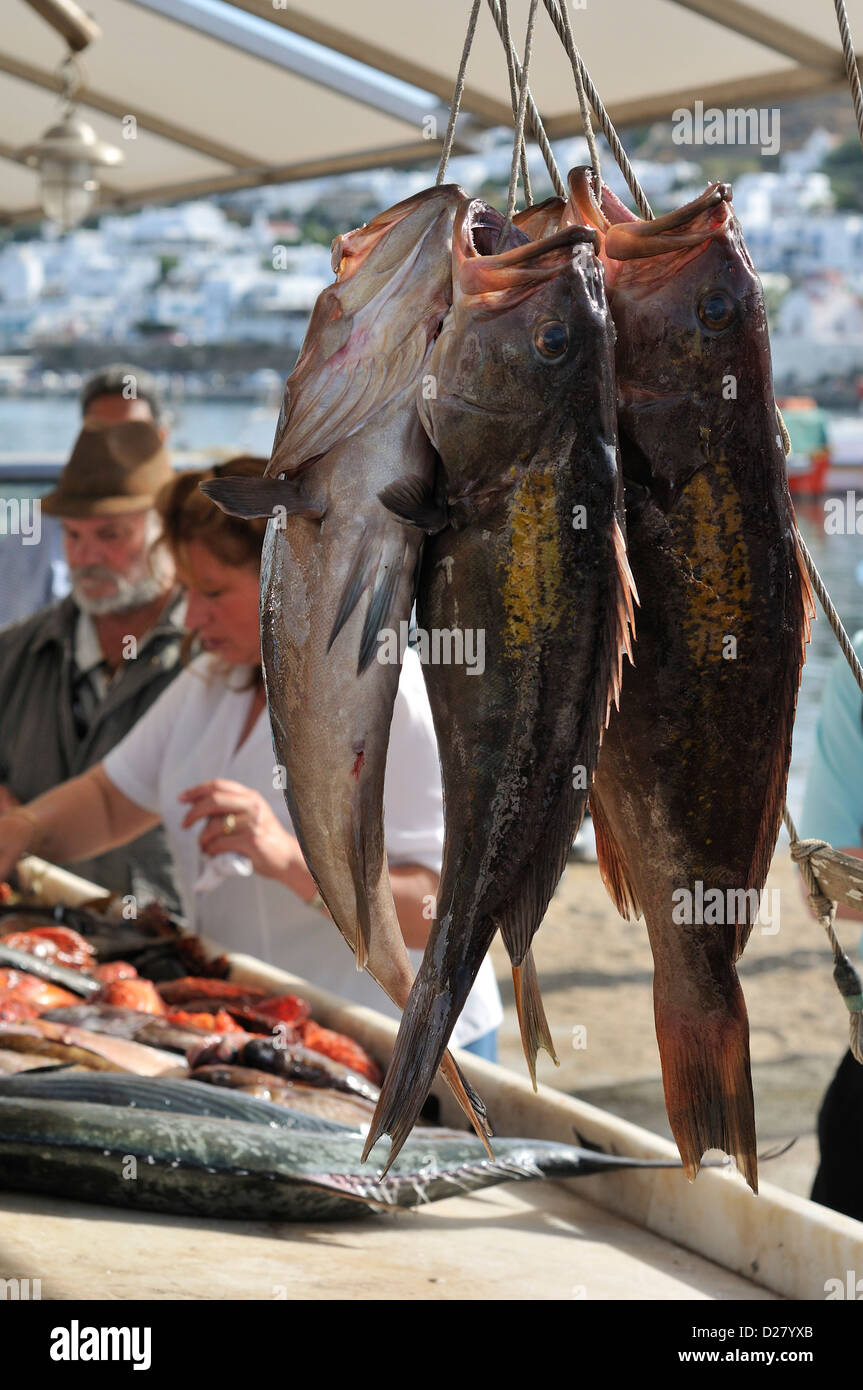 Mykonos. Griechenland. Frischer Fisch am Morgen Markt auf dem Kai in Hóra, (Mykonos Stadt). Stockfoto