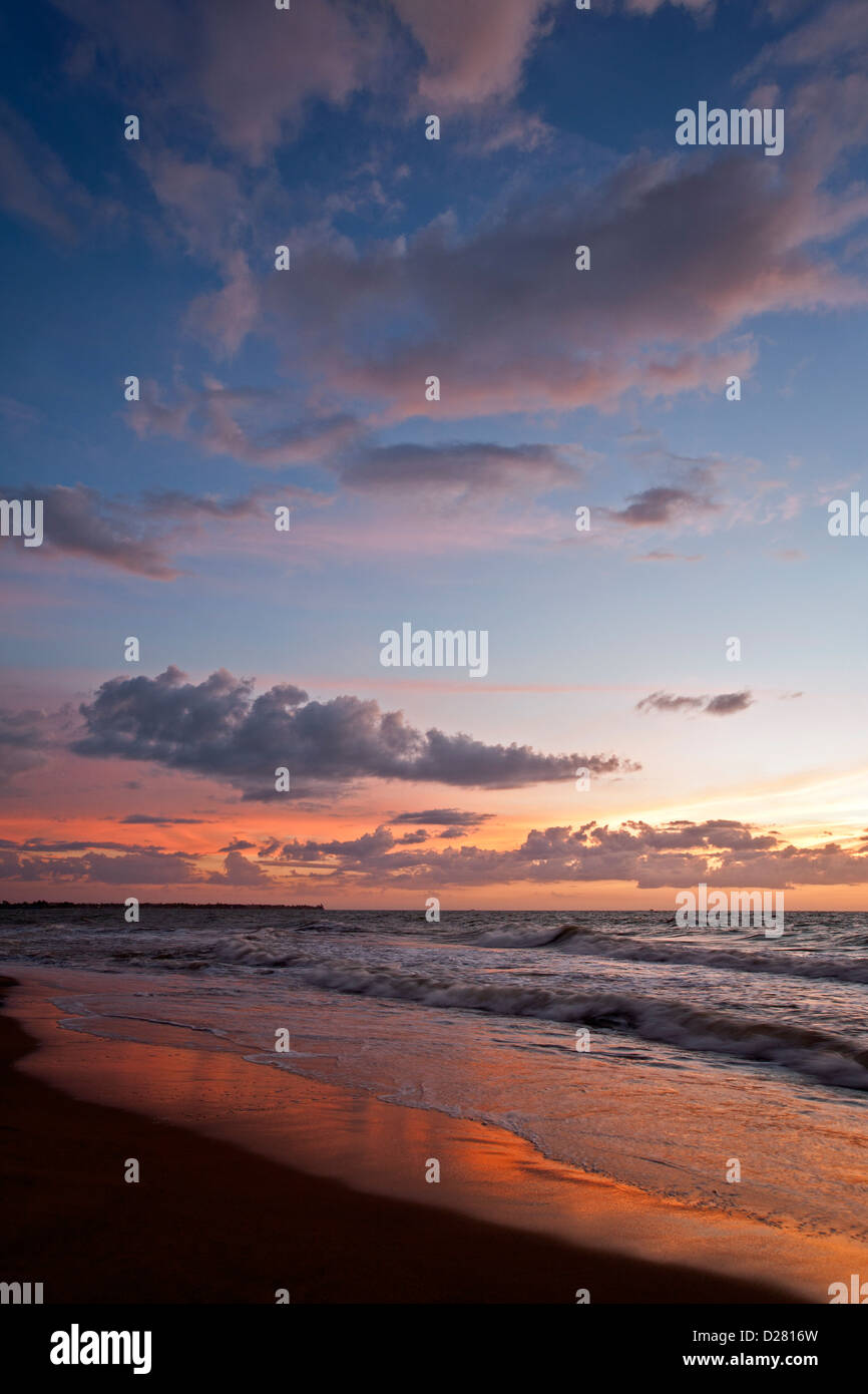 Negombo Strand. Sri Lanka Stockfoto