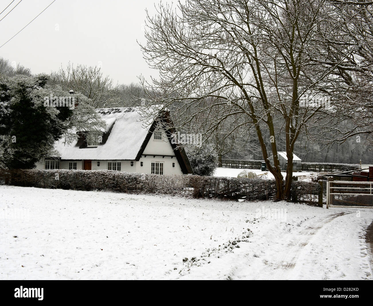 Reetdachhaus mit leichten Schneedecke Cambridgeshire Stockfoto