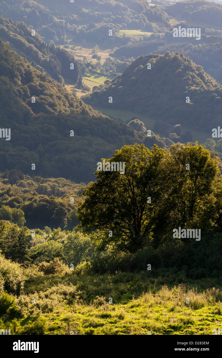 Hügelige Vulkanlandschaft der Auvergne. Stockfoto