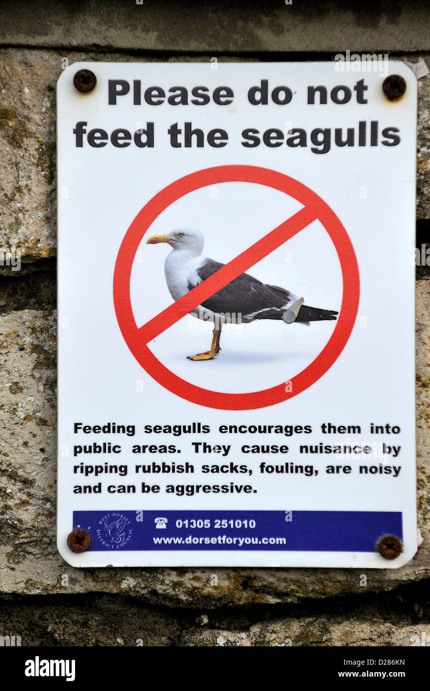 Bitte nicht füttern der Möwen Verbotszeichen im Hafen in Dorset, England, UK Stockfoto