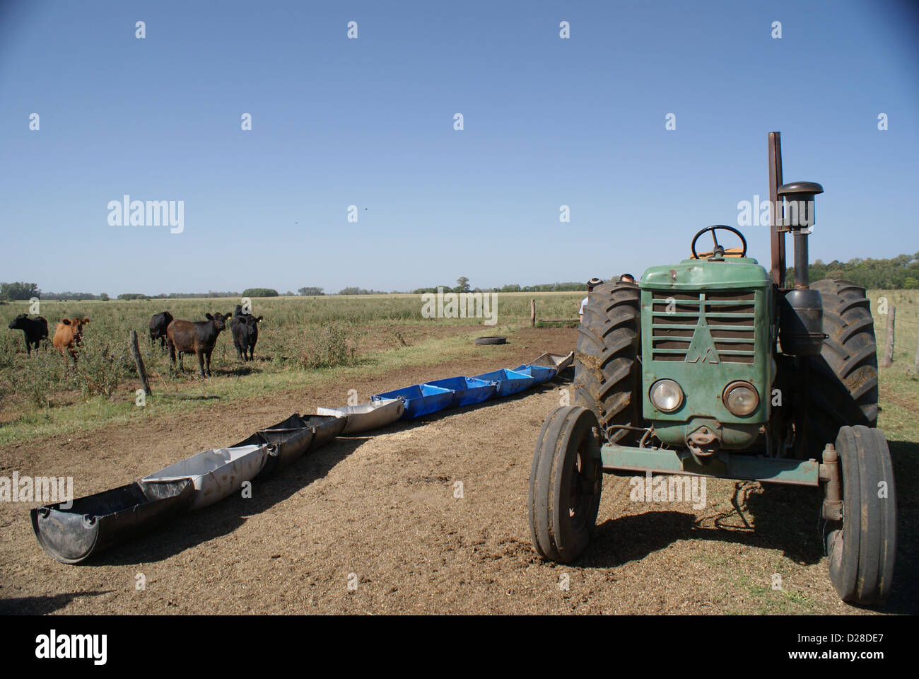 Grüner Traktor Stockfoto