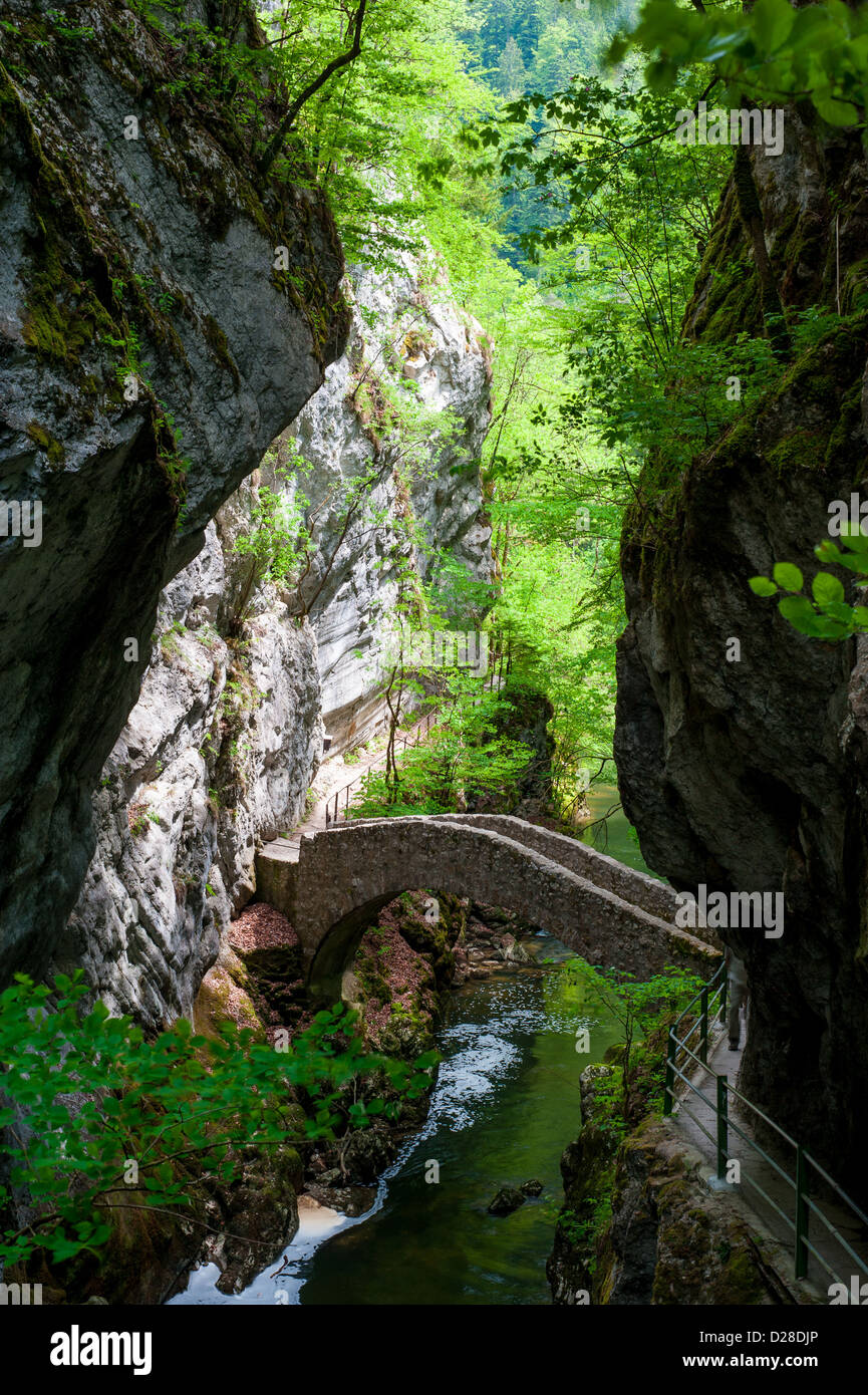 Kleine Brücke über den River bei Gorges de l'Areuse, Neuchatel, Schweiz Stockfoto