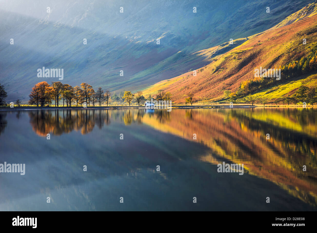 Den Kiefern am südlichen Ende von Buttermere im Lake District National Park mit Wellen von Licht des frühen Morgens Stockfoto