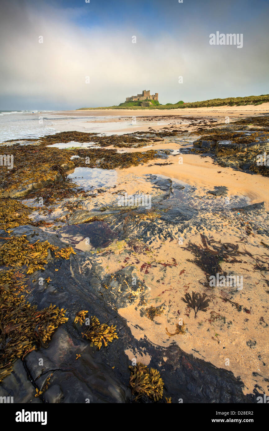Bamburgh Castle an der Northumberland Küste gefangen genommen von der nordwestlichen Ende des Bamburgh Strand. Stockfoto