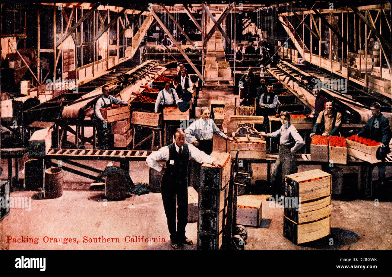 Arbeitnehmer, die Verpackung Orangen, Südkalifornien, USA, handkolorierten Fotografie, um 1915 Stockfoto