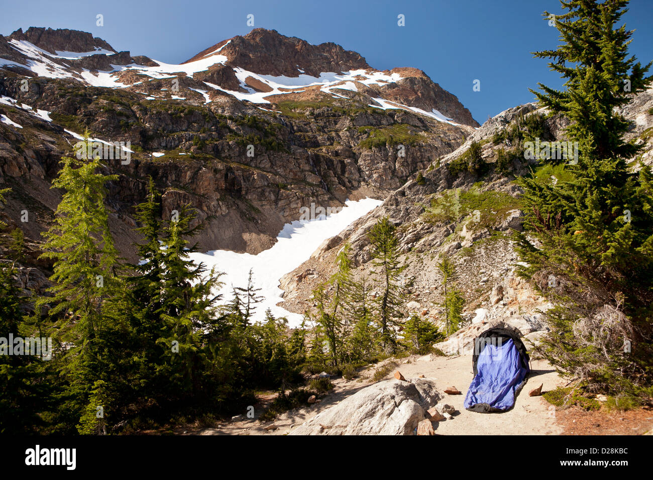 Camp in Lärche Knopf unterhalb der Spinne Gletscher, Glacier Peak Wilderness, North Cascades, Washington. Stockfoto
