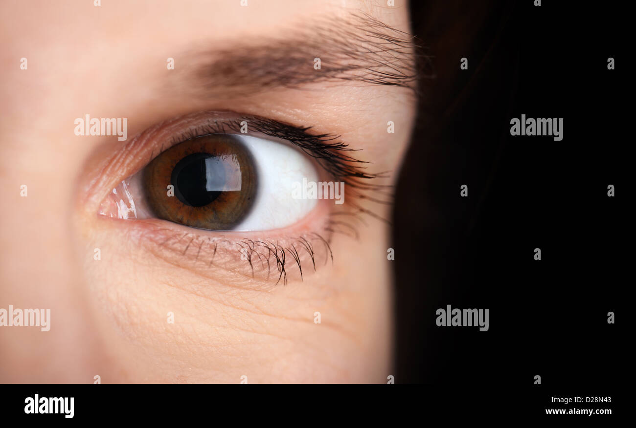 Makroaufnahme einer braunen jungen Frau Auge Stockfoto