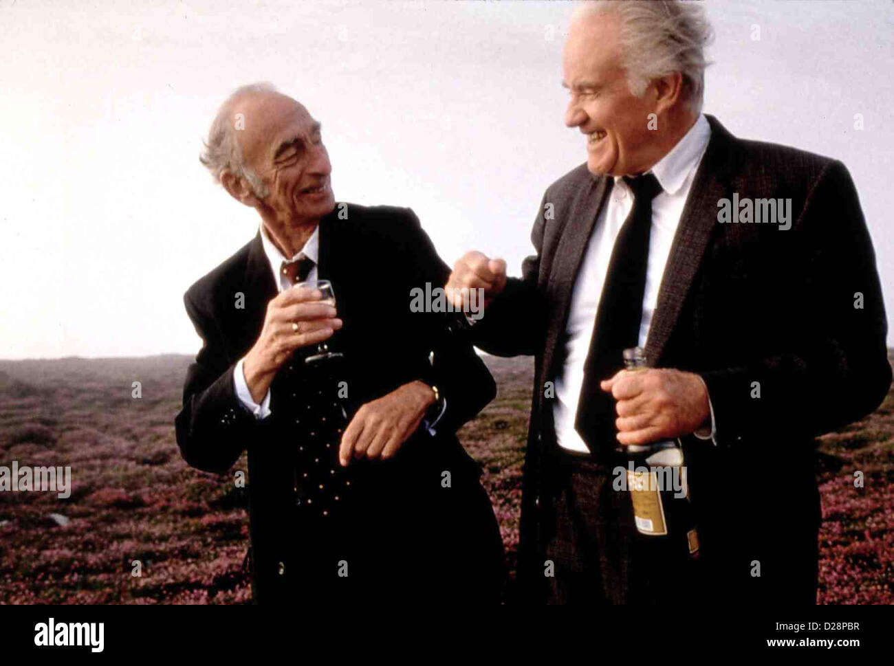 Lang Lebe Ned Devine Waking Ned Devine David Kelly, Ian Bannen Die Beiden Rentner Michael OÃ'Â´Sullivan (David Kelly) Und Stockfoto