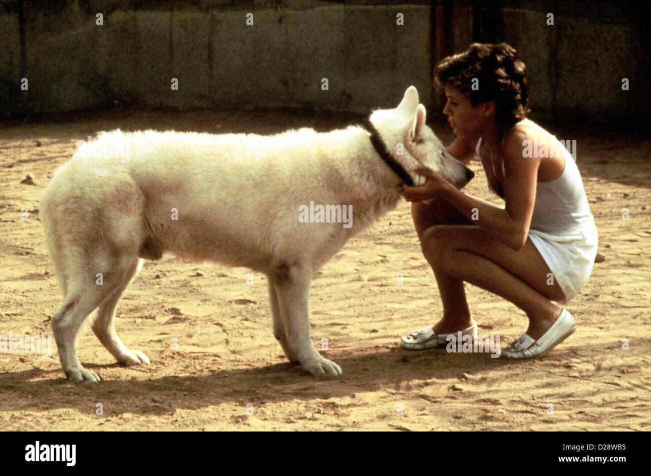 Der Weiße Hund Von Beverly Hills Online Sehen www.alamy.de