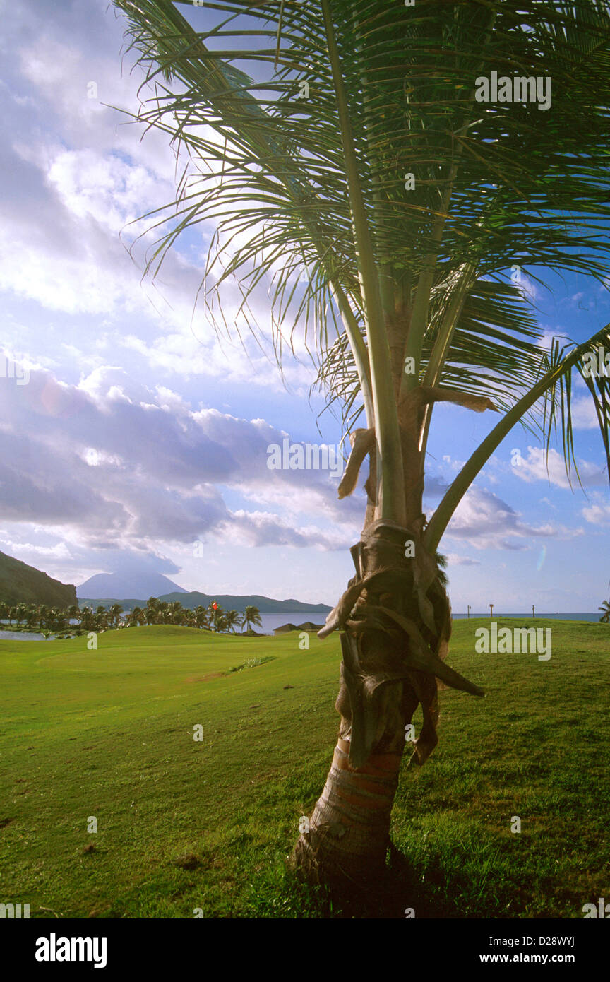 St. Kitts. Fregatte Golfplatz. Stockfoto